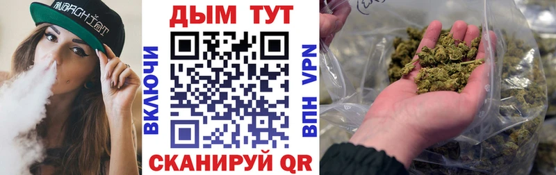 Бошки Шишки MAZAR  Белёв 